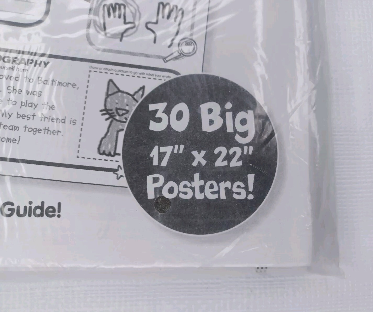 Scholastic Graphic Organizer Posters 30 All about Me Web Teacher Back To School