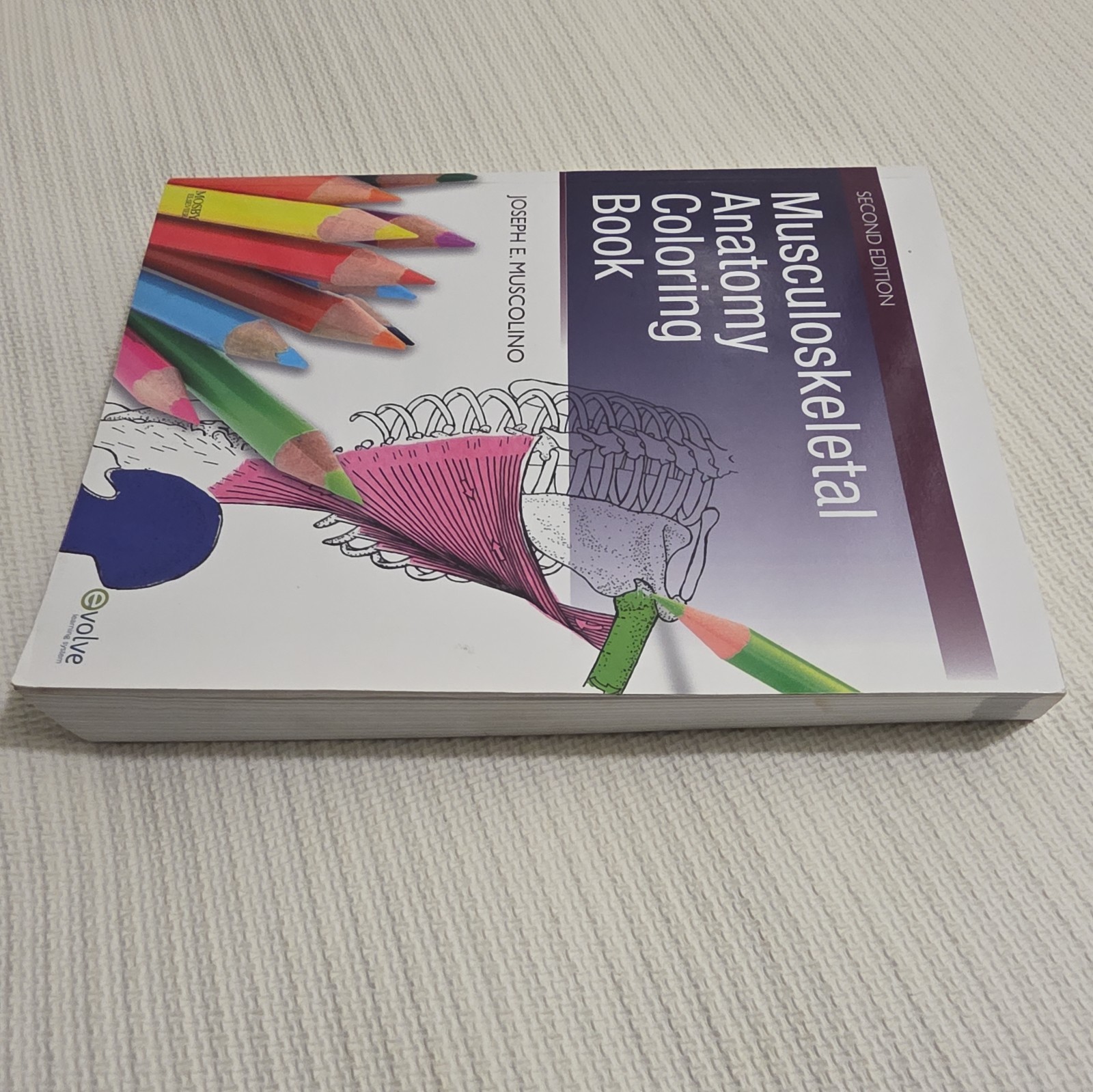 Musculoskeletal Anatomy Coloring Book