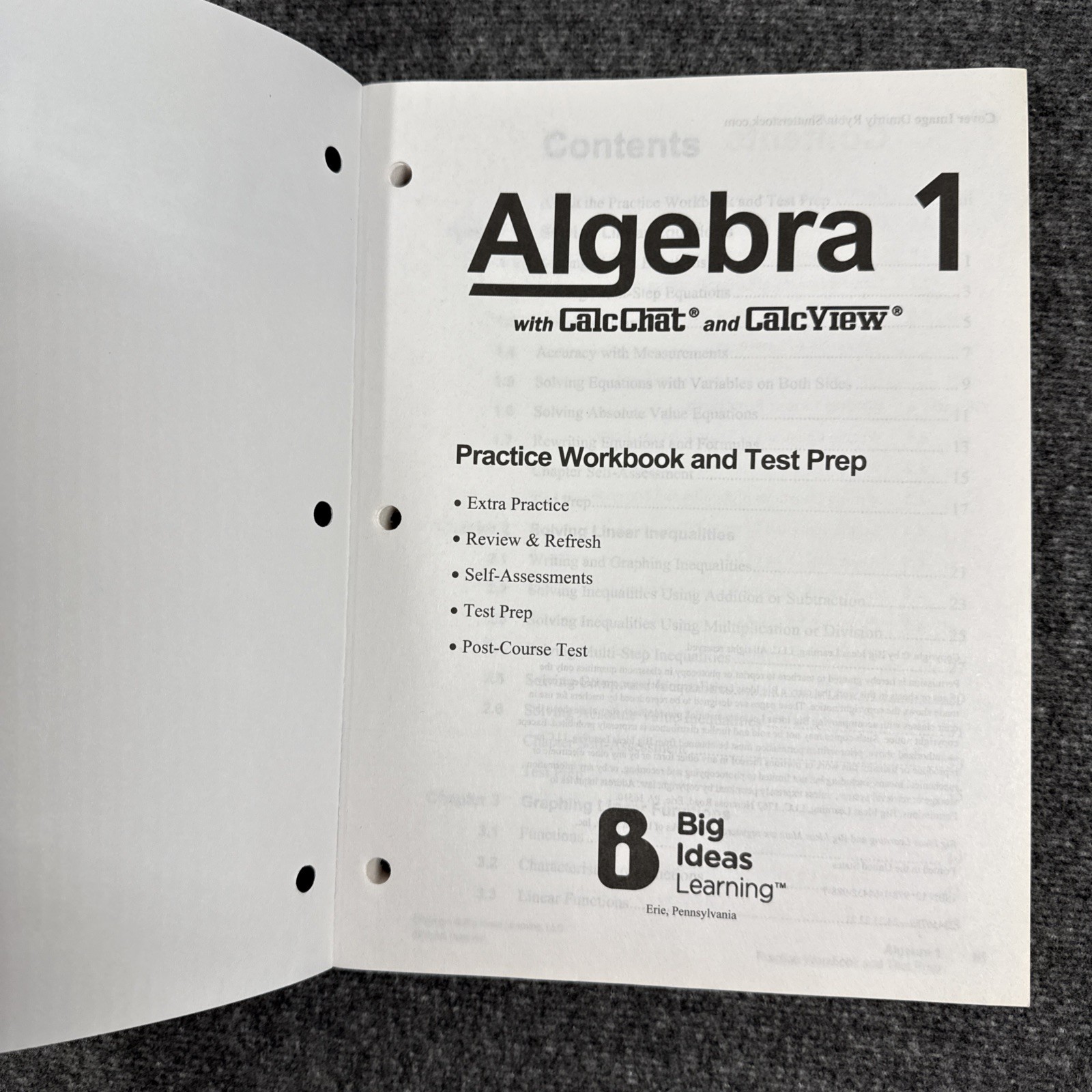 Big Ideas Algebra 1 with CalcChat CalcView Textbook, Practice Workbook Test Prep