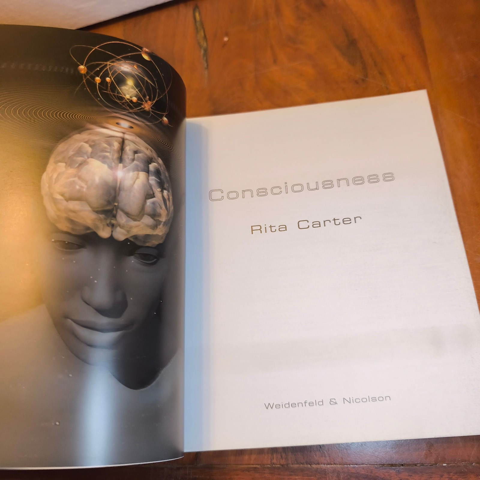 Consciousness- Rita Carter