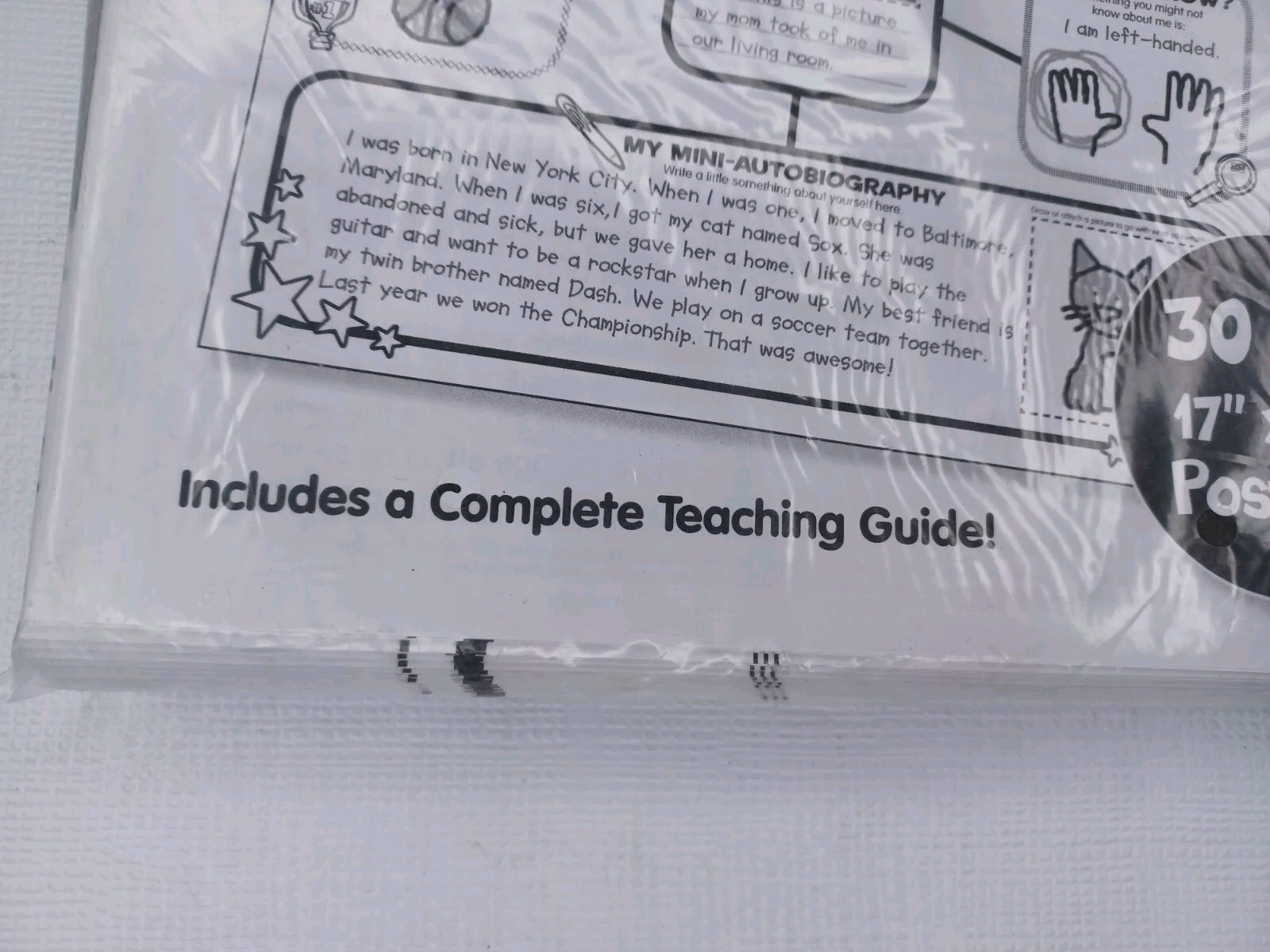 Scholastic Graphic Organizer Posters 30 All about Me Web Teacher Back To School