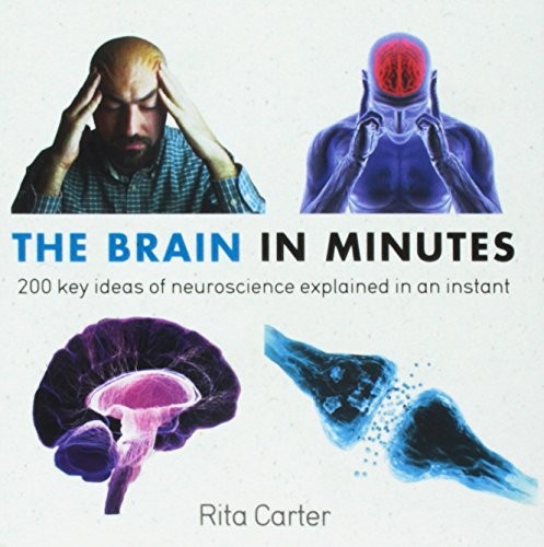 THE BRAIN IN MINUTES By Rita Carter *Excellent Condition*
