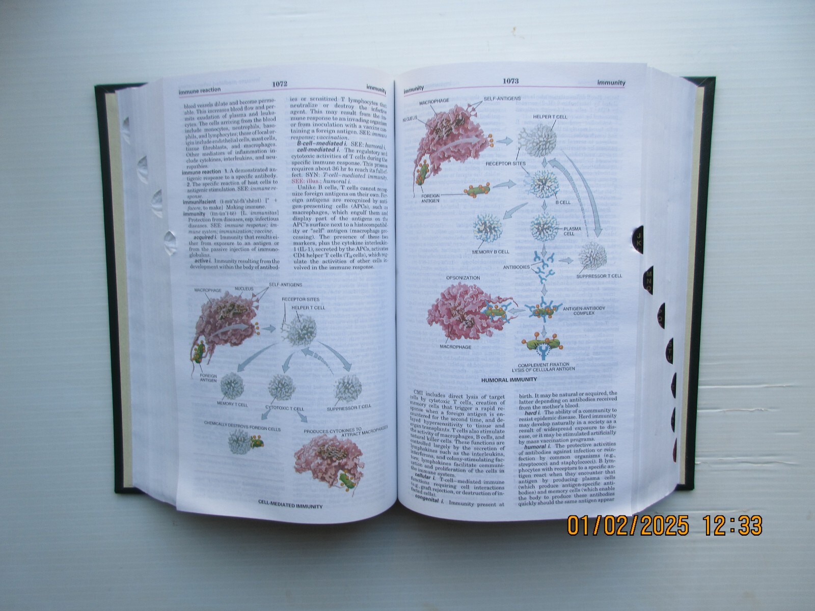 Taber’s Cyclopedic Medical Dictionary by Donald Venes (2005, Book, Other)