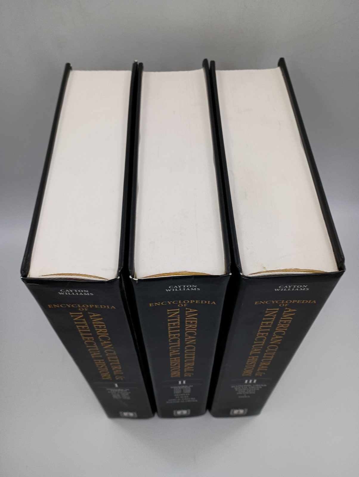 Encyclopedia of American Cultural & Intellectual History. Complete 3-Volume Set!