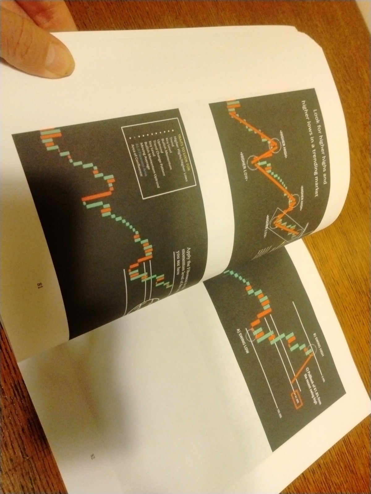 Learning to Trade on The Go by Lisa Johnson Paperback Book