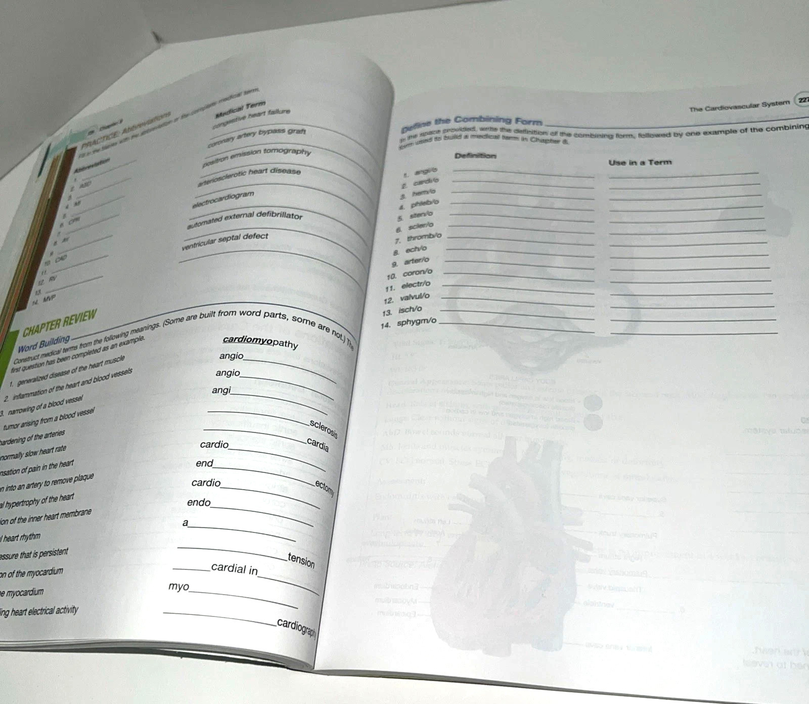 Medical Terminology Complete! – Paperback, by Wingerd – Very Good (No Writing)