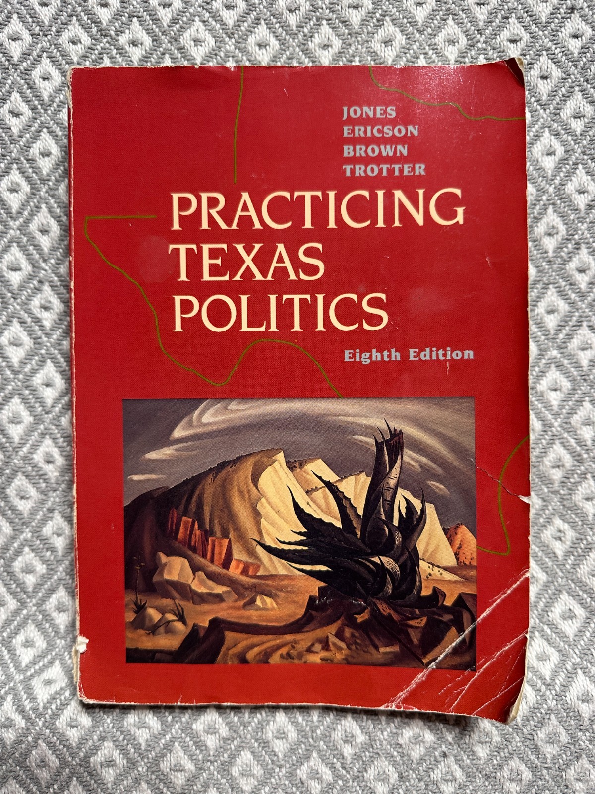 Practicing Texas Politics, Eighth Edition (1992)