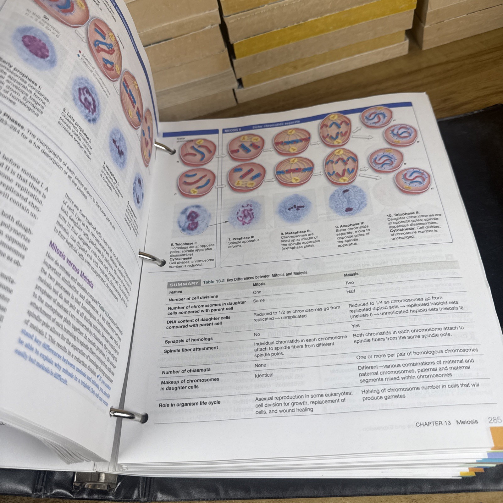 Biological Science – Loose Leaf, by Freeman Scott; Quillin – Good W/ Binder