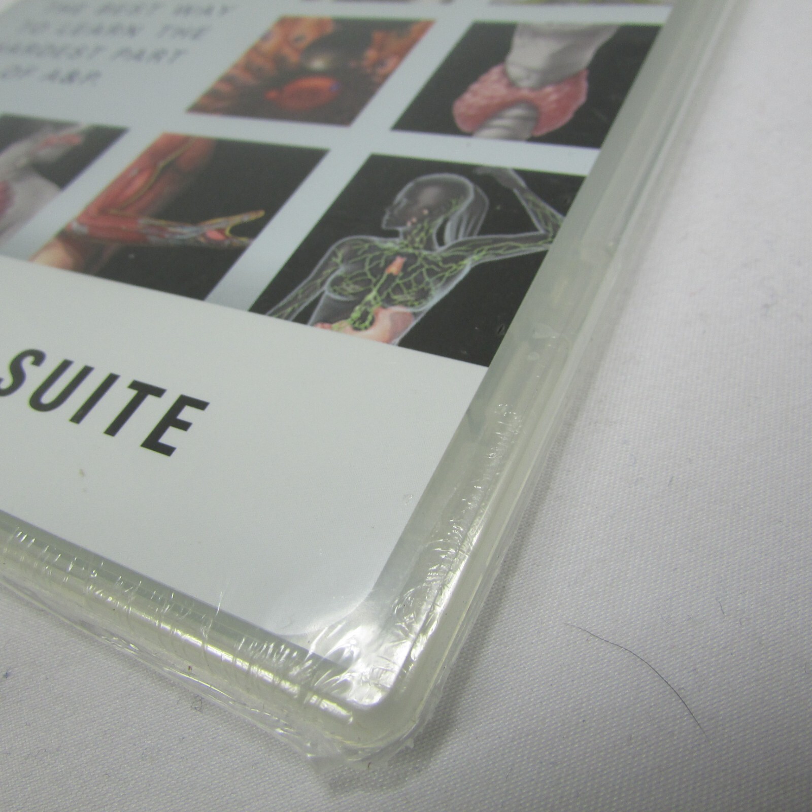 Interactive Physiology Anatomy and Physiology Ser.: 10-System Suite SEALED