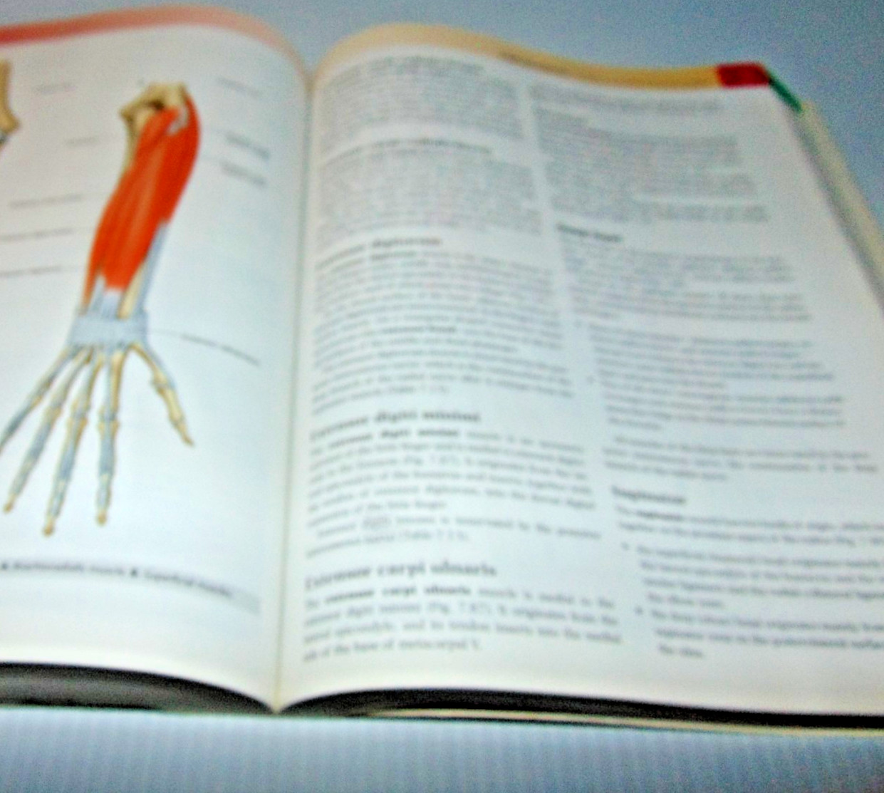 Gray’s Anatomy Ser.: Gray’s Anatomy for Students by Adam W. M. Mitchell, Richard