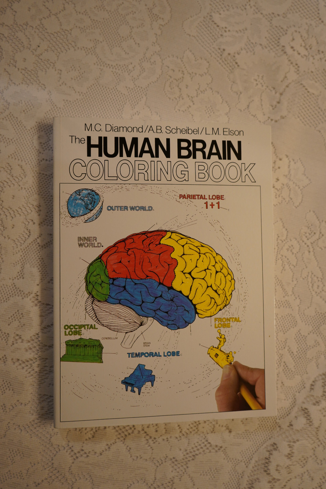 Human Brain Coloring Book : A Coloring Book by Marian C.
