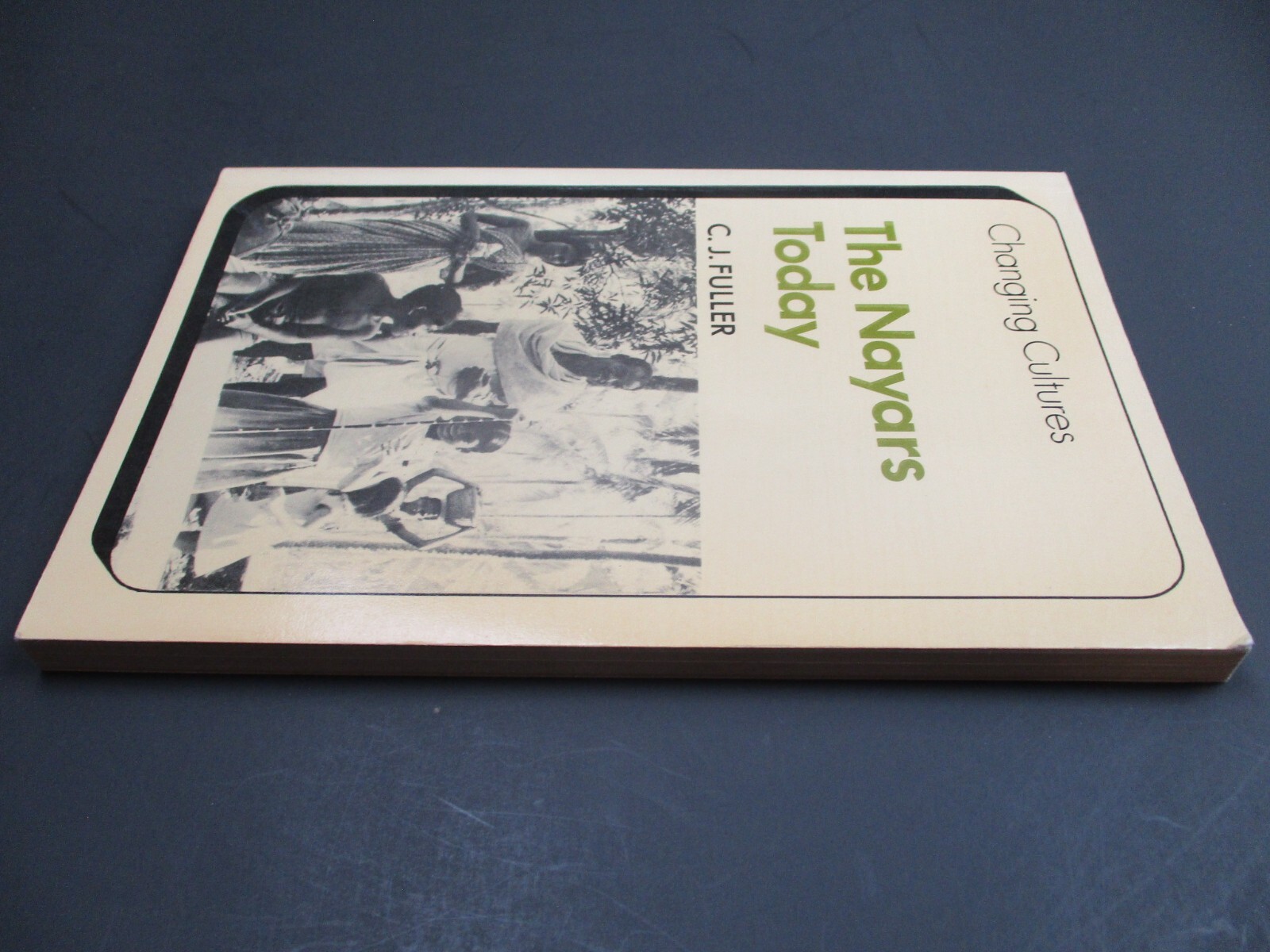 THE NAYARS TODAY by C. J. Fuller Cambridge Books 1st Printing 1979 Paperback PB