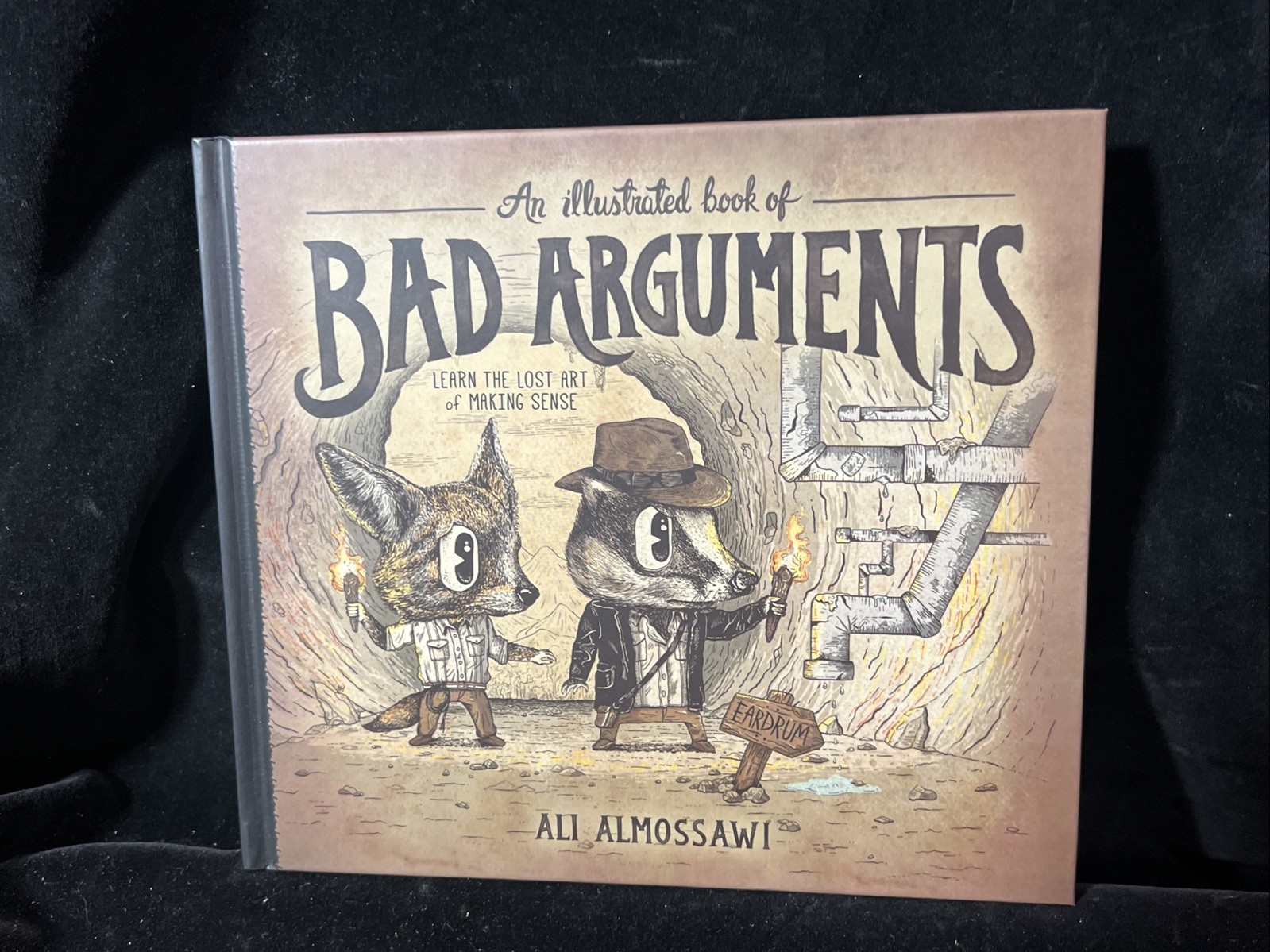 An Illustrated Book of Bad Arguments: Learn the Lost Art of Making Sense