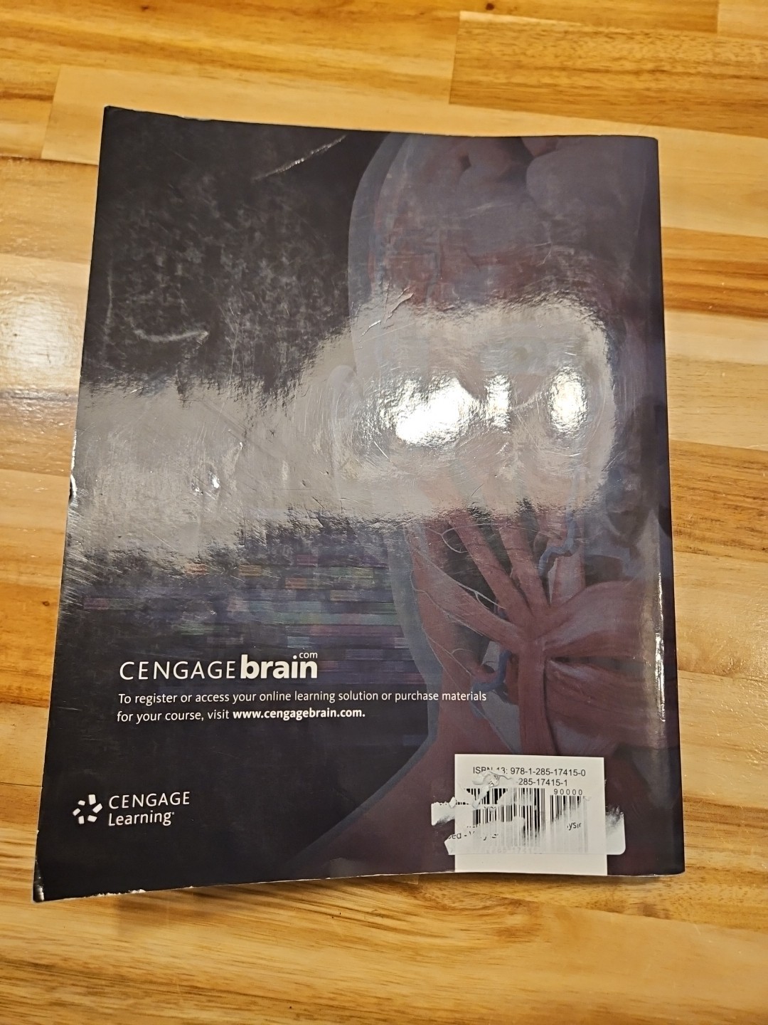 Mindtap Course List Ser.: Fundamentals of Anatomy and Physiology by Donald Rizzo