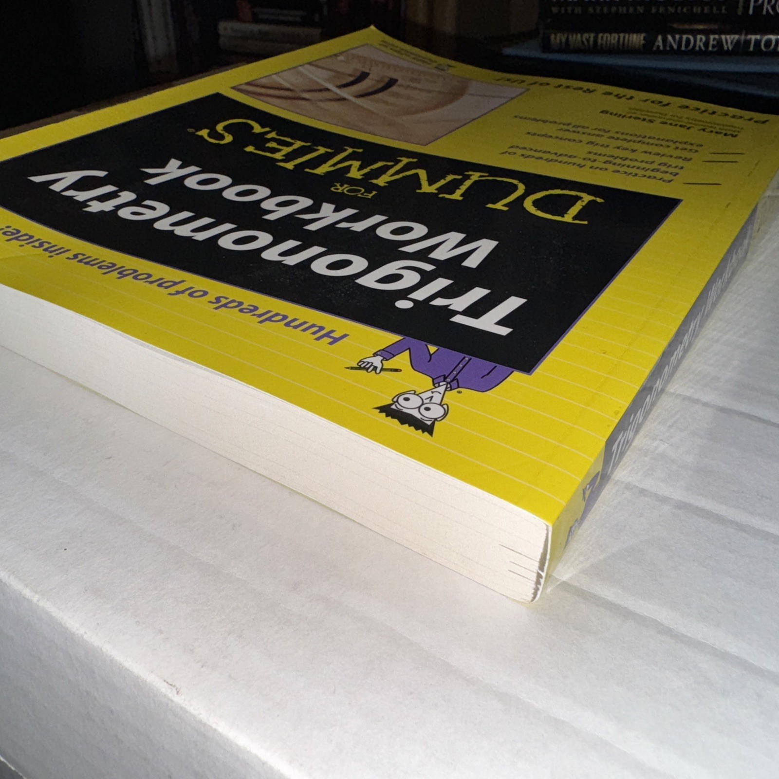 Trigonometry Workbook for Dummies by Mary Jane Sterling (2005, Trade Paperback)