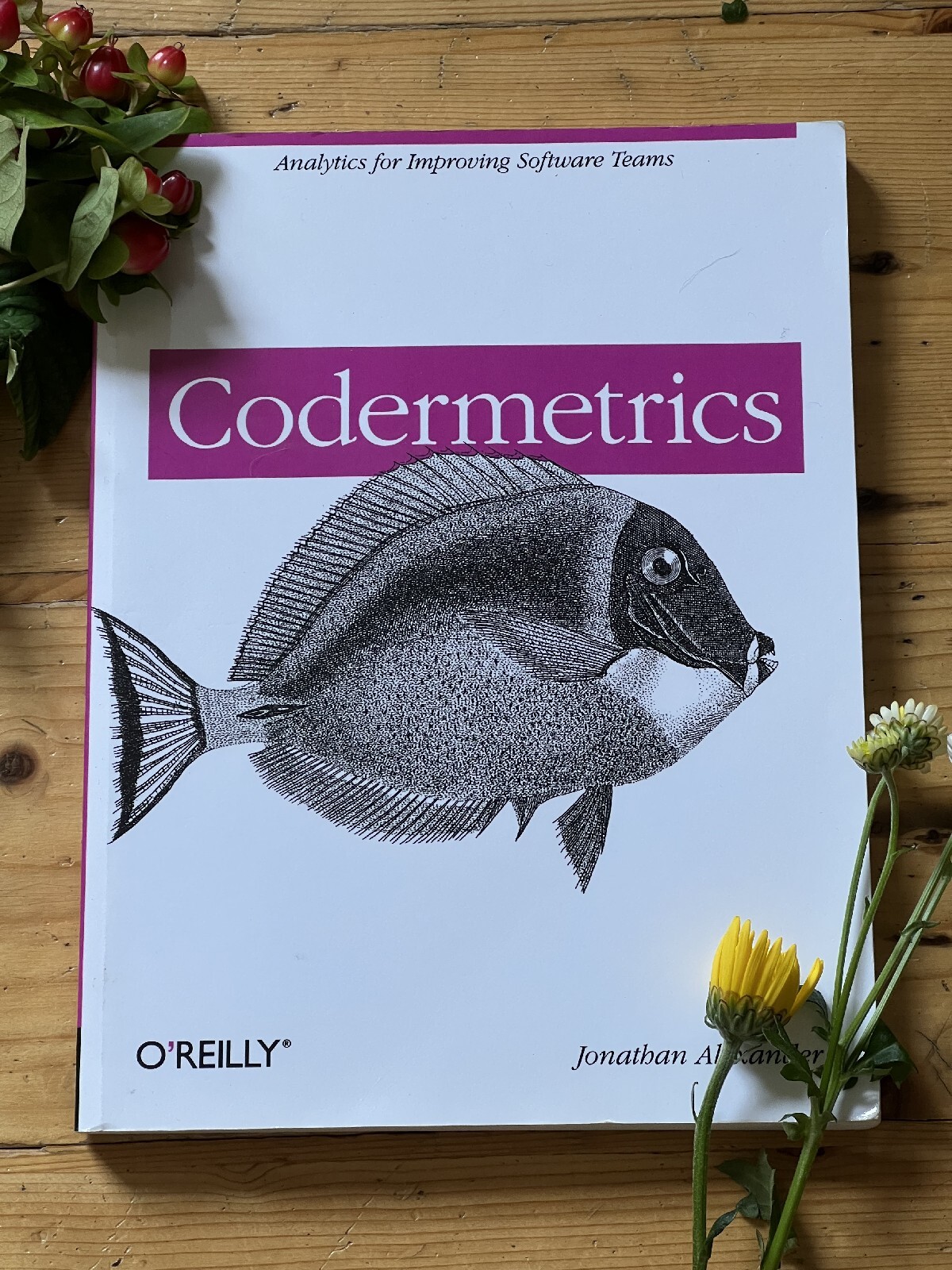 Codermetrics Jonathan Alexander Analytics Software Teams O’Reilly Paperback VGC