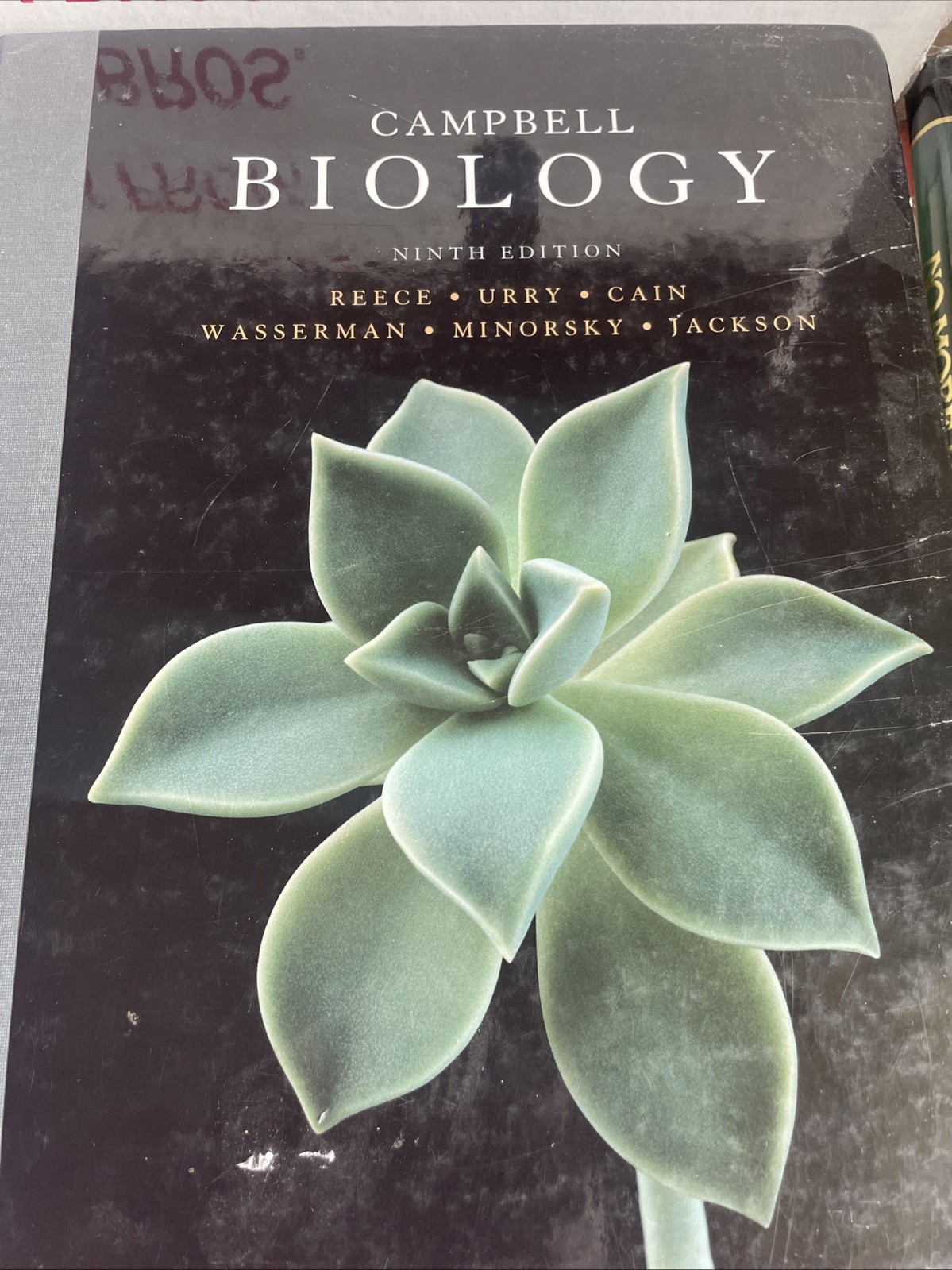 Campbell Biology by Peter V. Minorsky, Robert B. Jackson, Michael L. Cain, Lisa