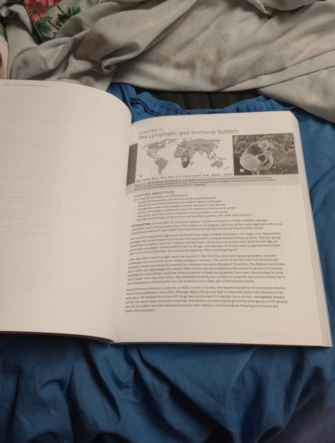 Anatomy & Physiology 2e Books 1 & 2 Set of 2 Textbooks Paper Back Like New Cond