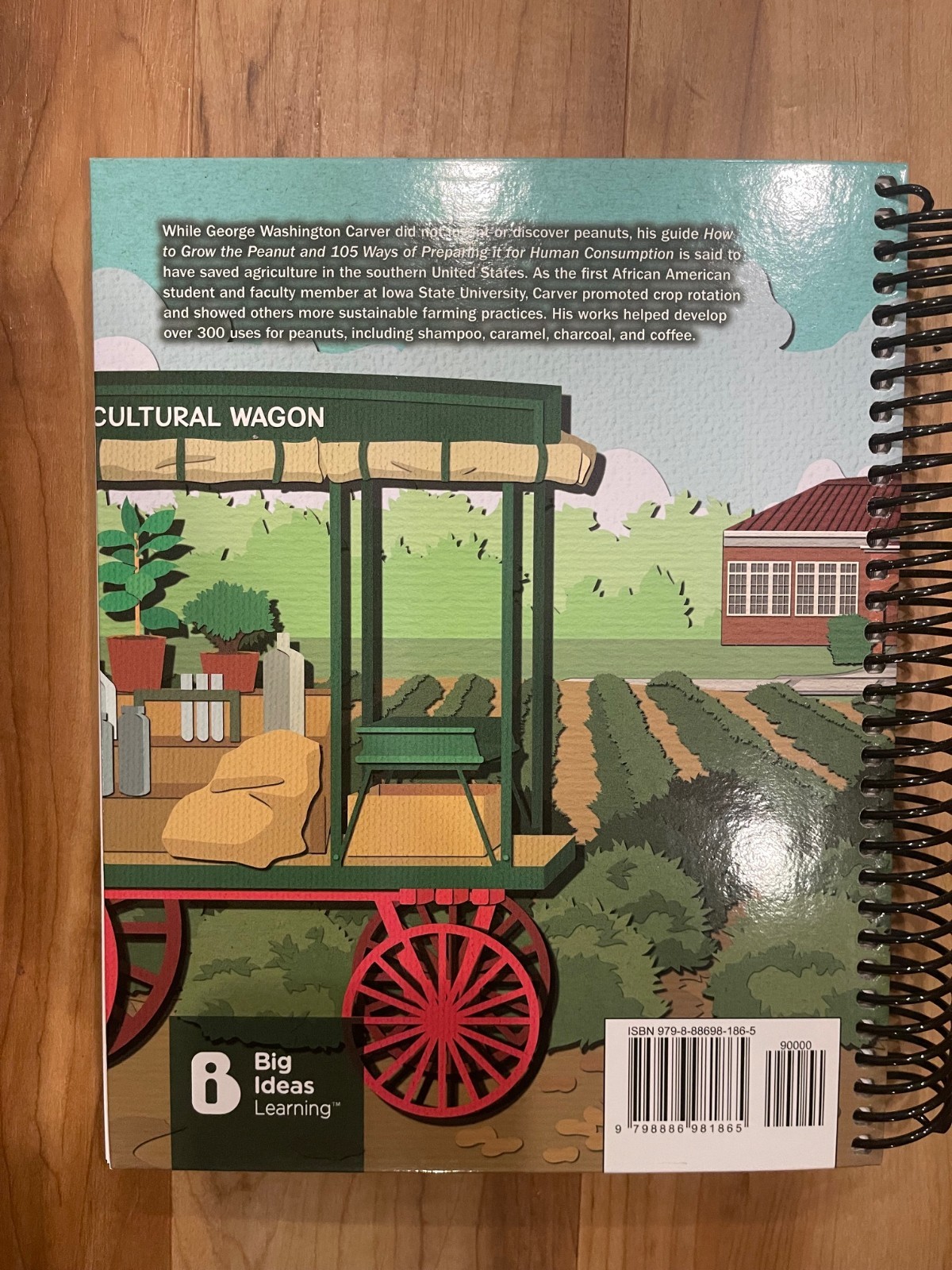 BIG IDEAS Math & You, Grade 7, 2025 Teacher’s/Teaching Edition, Larson, NEW