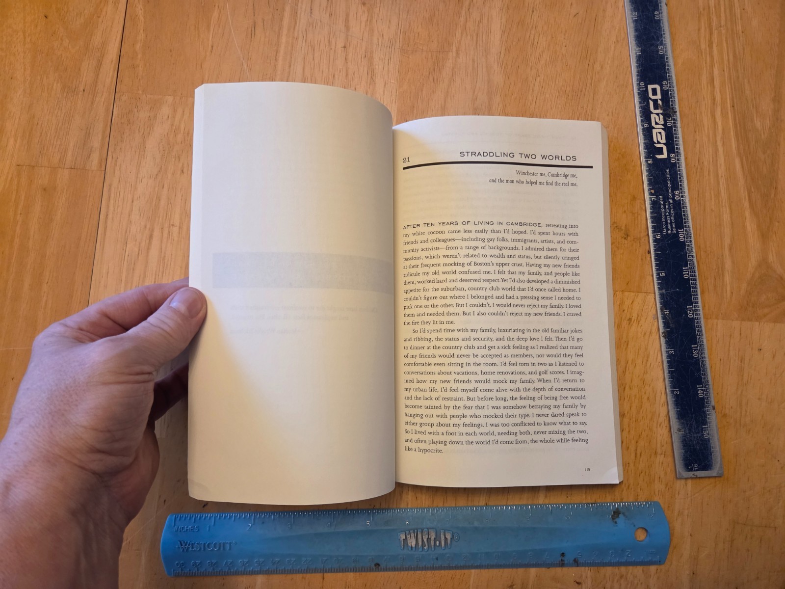 Waking up White : And Finding Myself in the Story of Race by Debby Irving (2014,