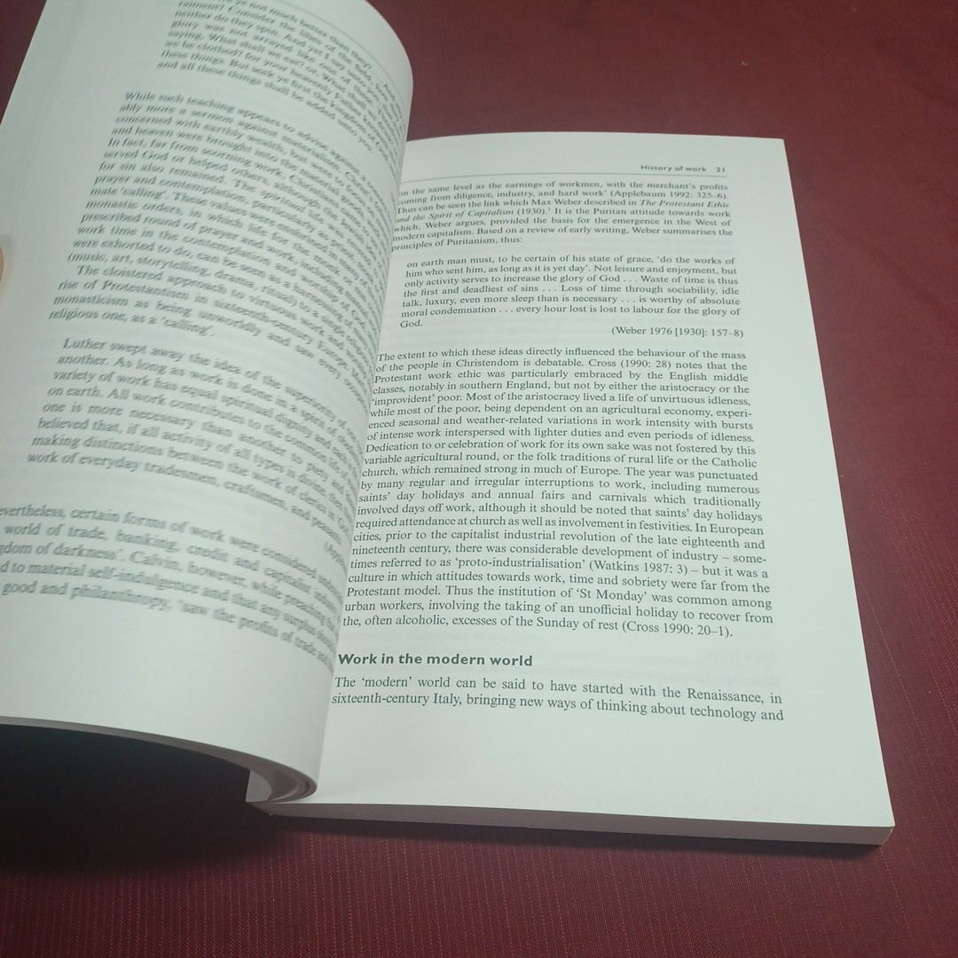 Work and Leisure Paperback