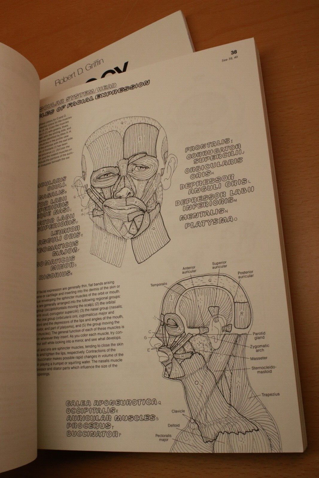 The Anatomy Coloring Book By W. Kapit, L. M. Elson & The Biology C.B. By Griffin