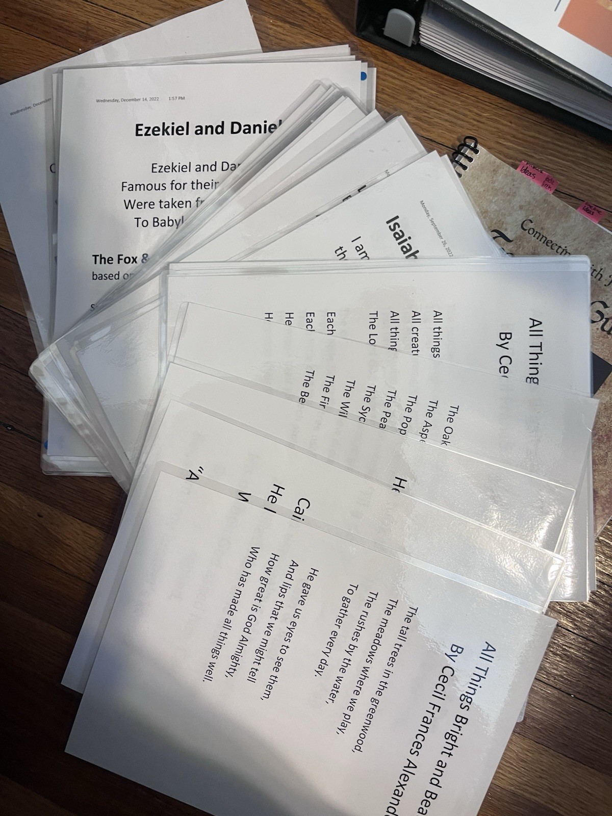 CONNECTING WITH HISTORY, YEAR 1, HOMESCHOOL CURRICULUM, CATHOLIC
