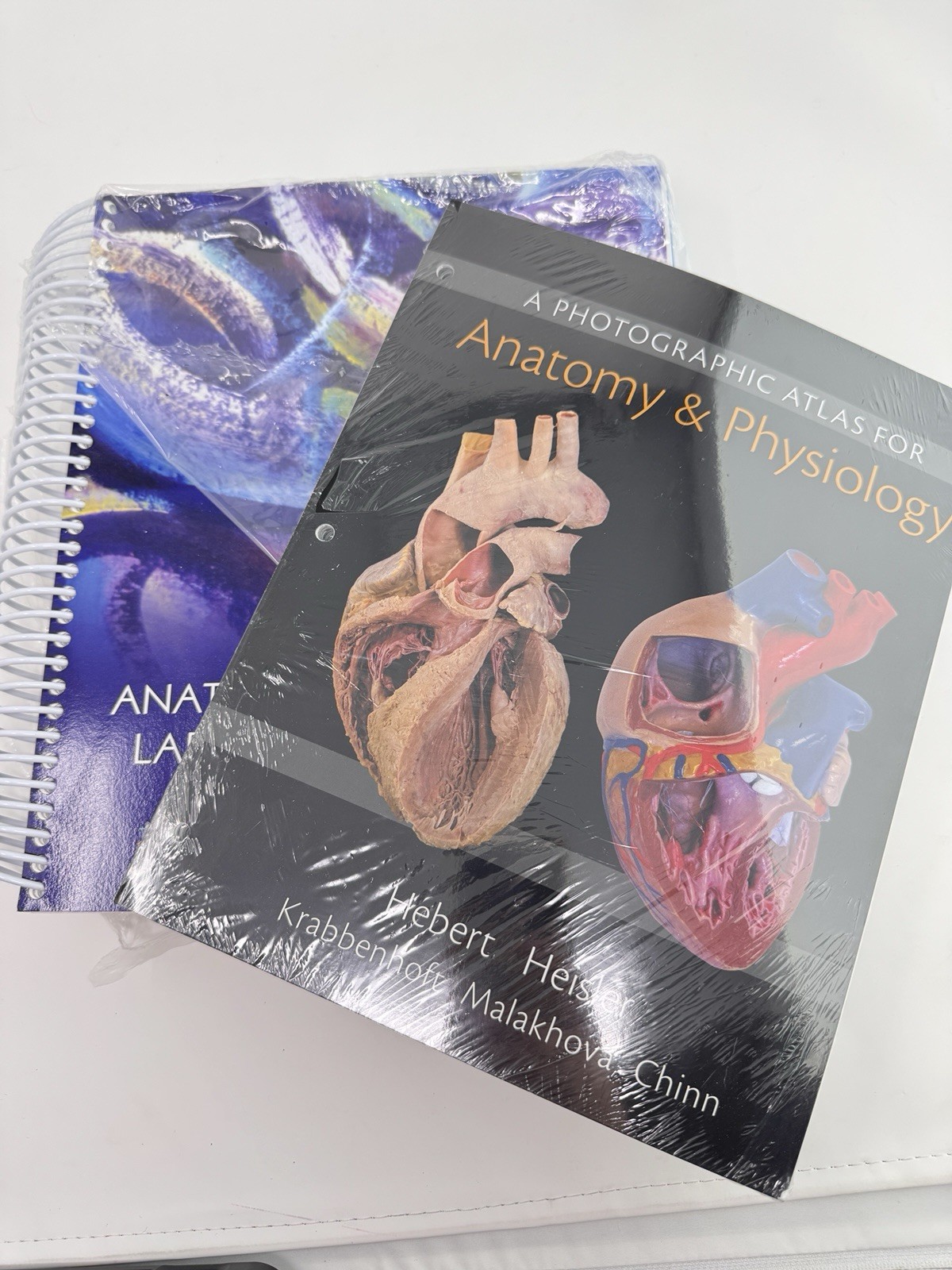 Laboratory Manual for Human Anatomy and Physiology: Cat Version & Photo Atlas