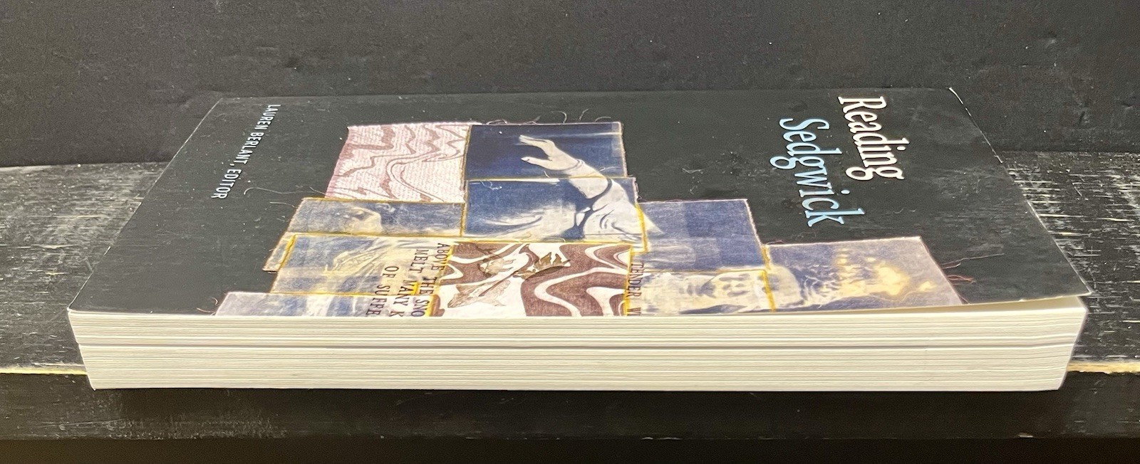 Reading Sedgwick by Lauren Berlant (2019, Trade Paperback) Like New T1
