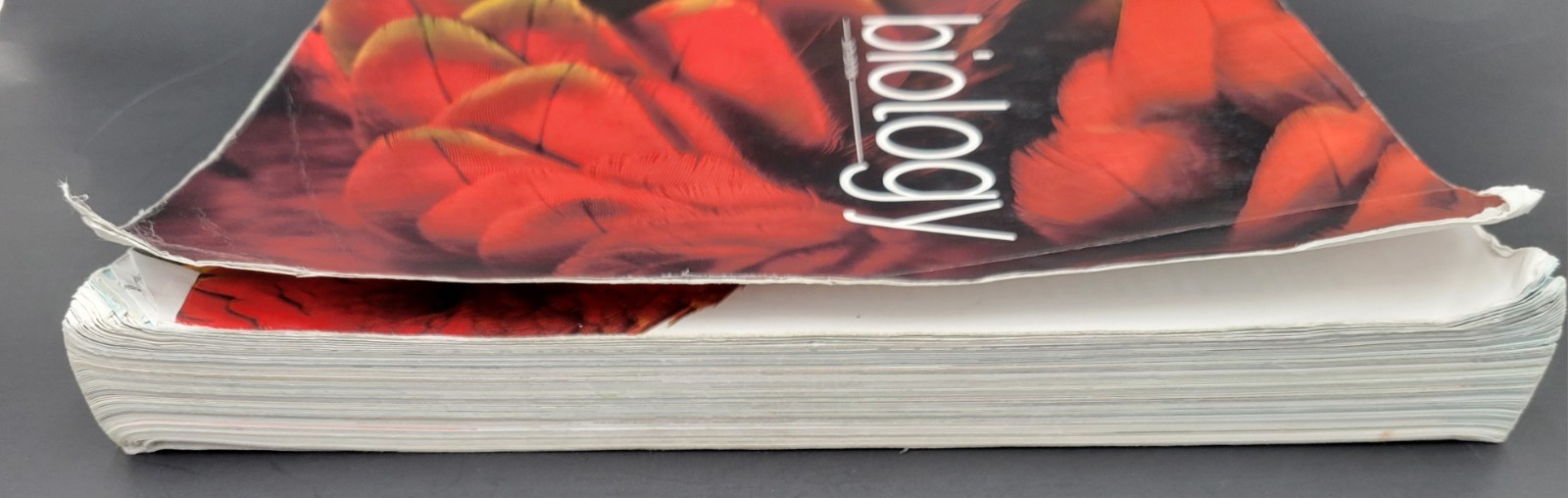 Biology Student Text & Biology Assessment 6th Edition BJU Press PB 528778-003-01