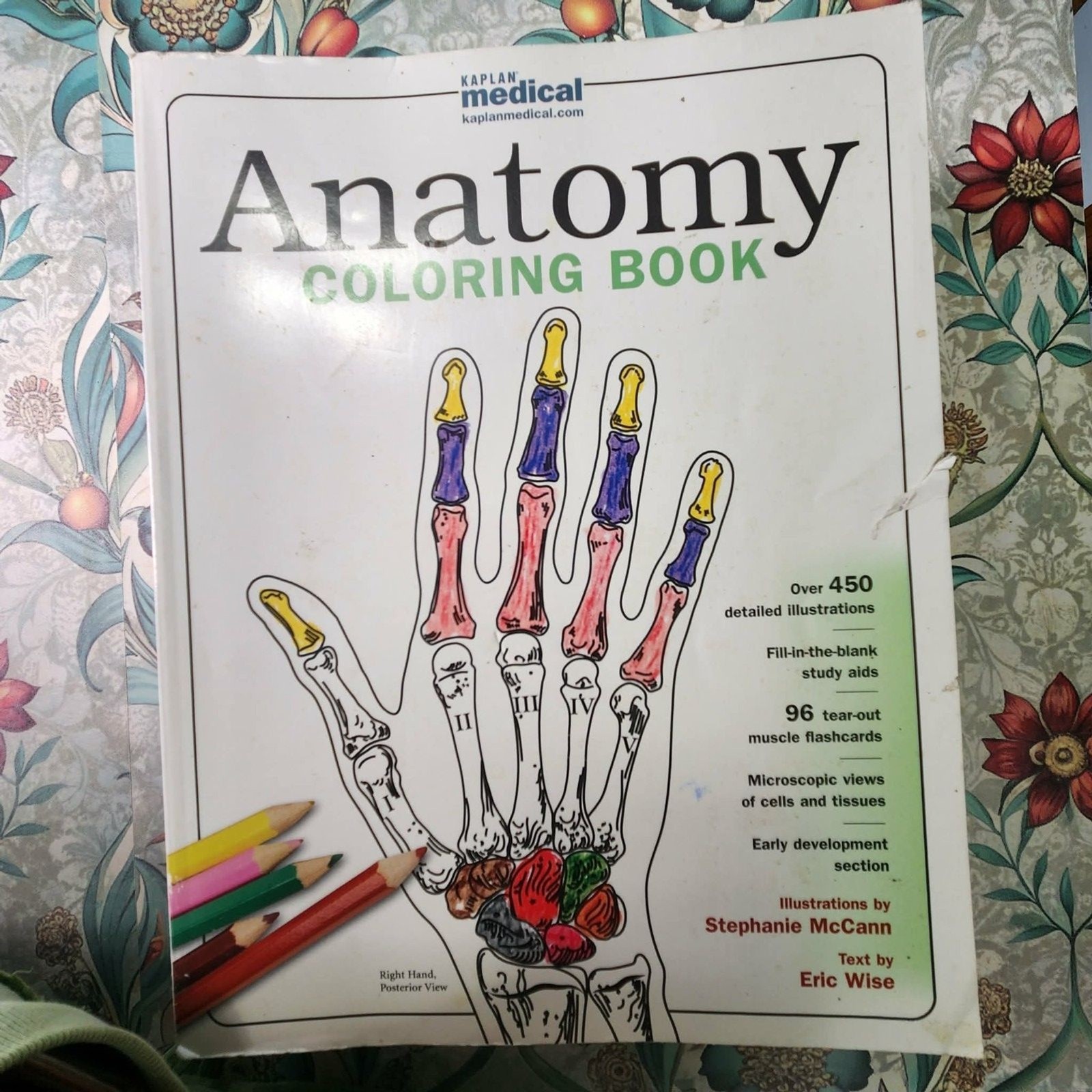 Trail Guide to the Body A&P Texbook+WorkBook & Coloring + Cards: WOW Lot of 5!!
