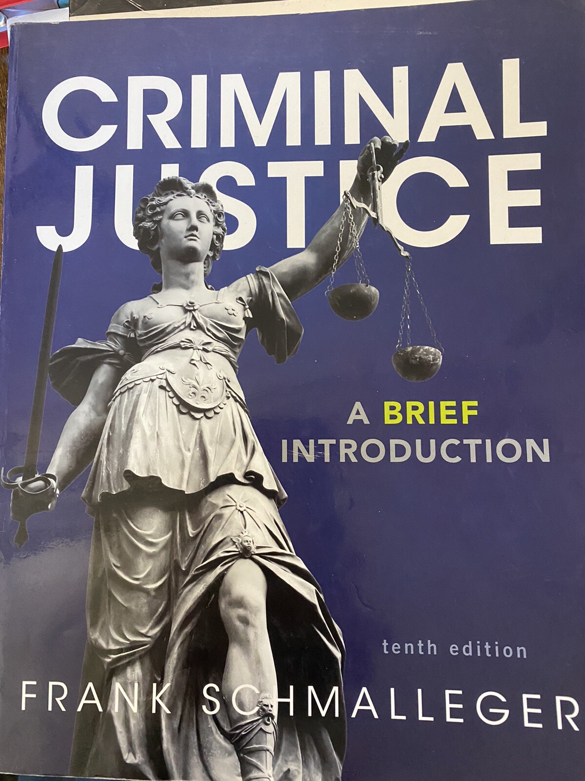 Criminal Justice : A Brief Introduction by Frank J. Schmalleger (2014, Trade…