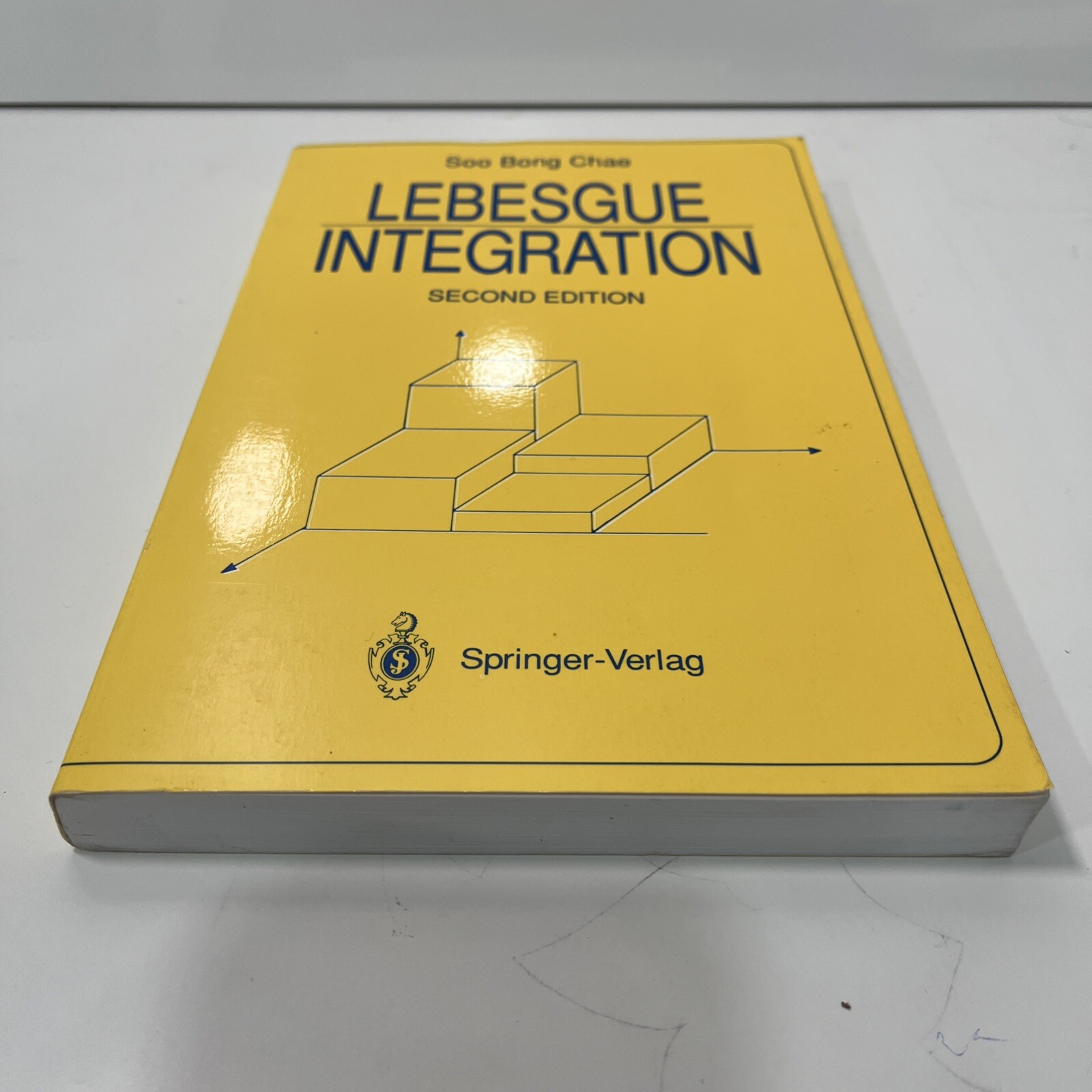 Lebesgue Integration, Paperback by Chae, Soo Bong, 2nd Edition Springer – Verlag