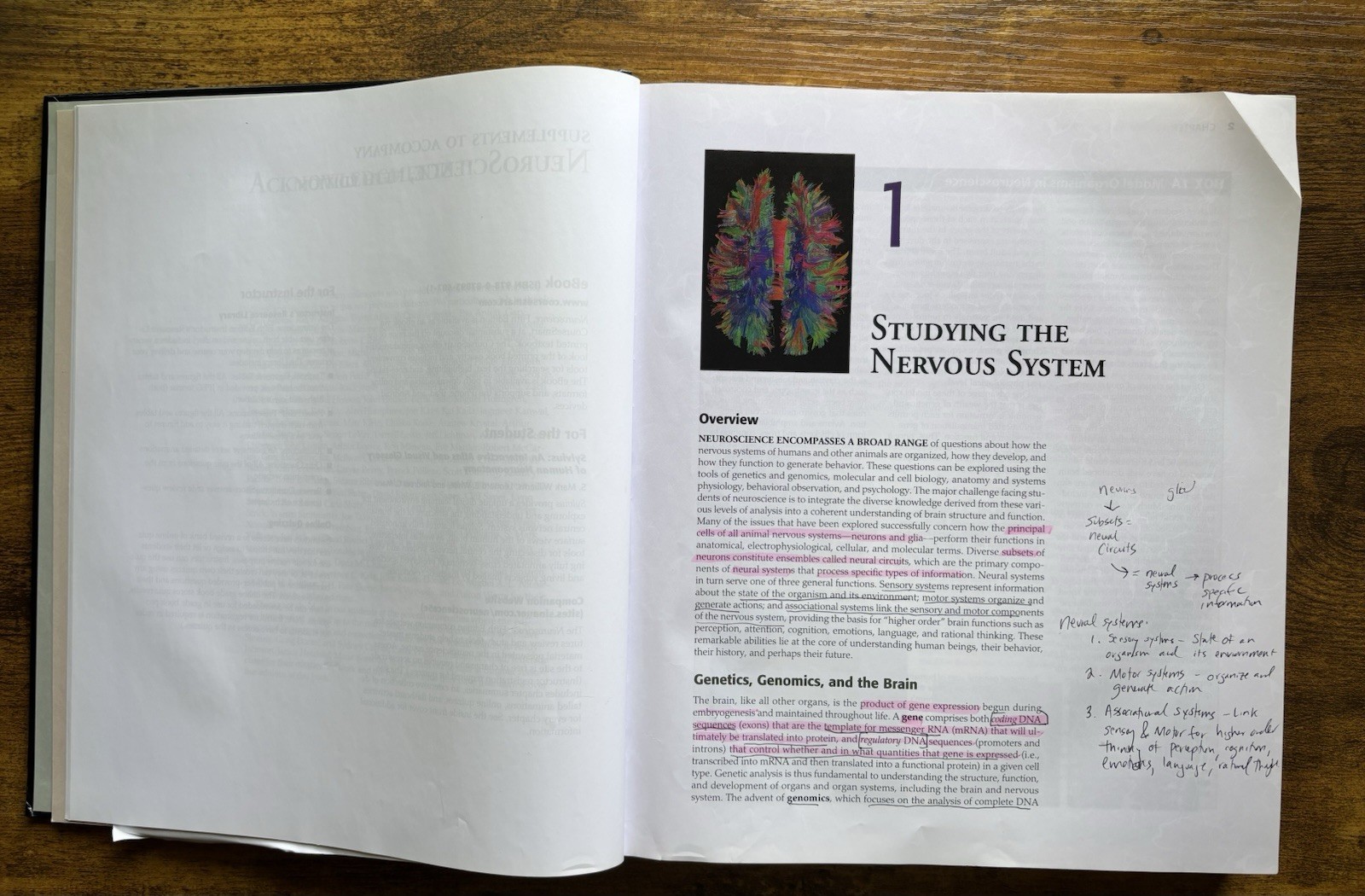 Neuroscience (2011, Hardcover)