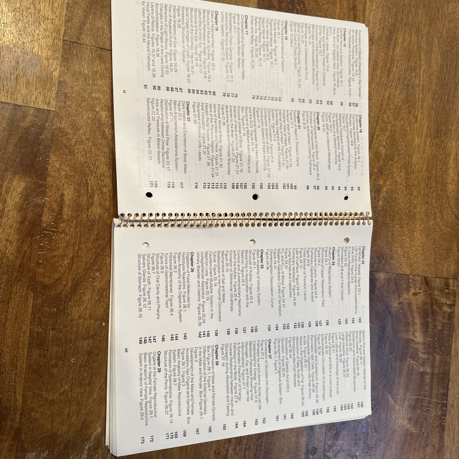 Student Study Art Notebook Concepts of Human Anatomy & Physiology Spiral PB Book