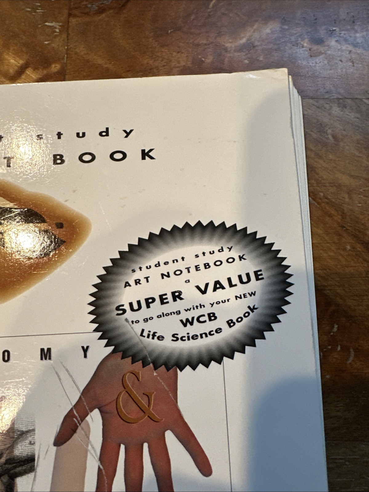 Student Study Art Notebook Concepts of Human Anatomy & Physiology Spiral PB Book