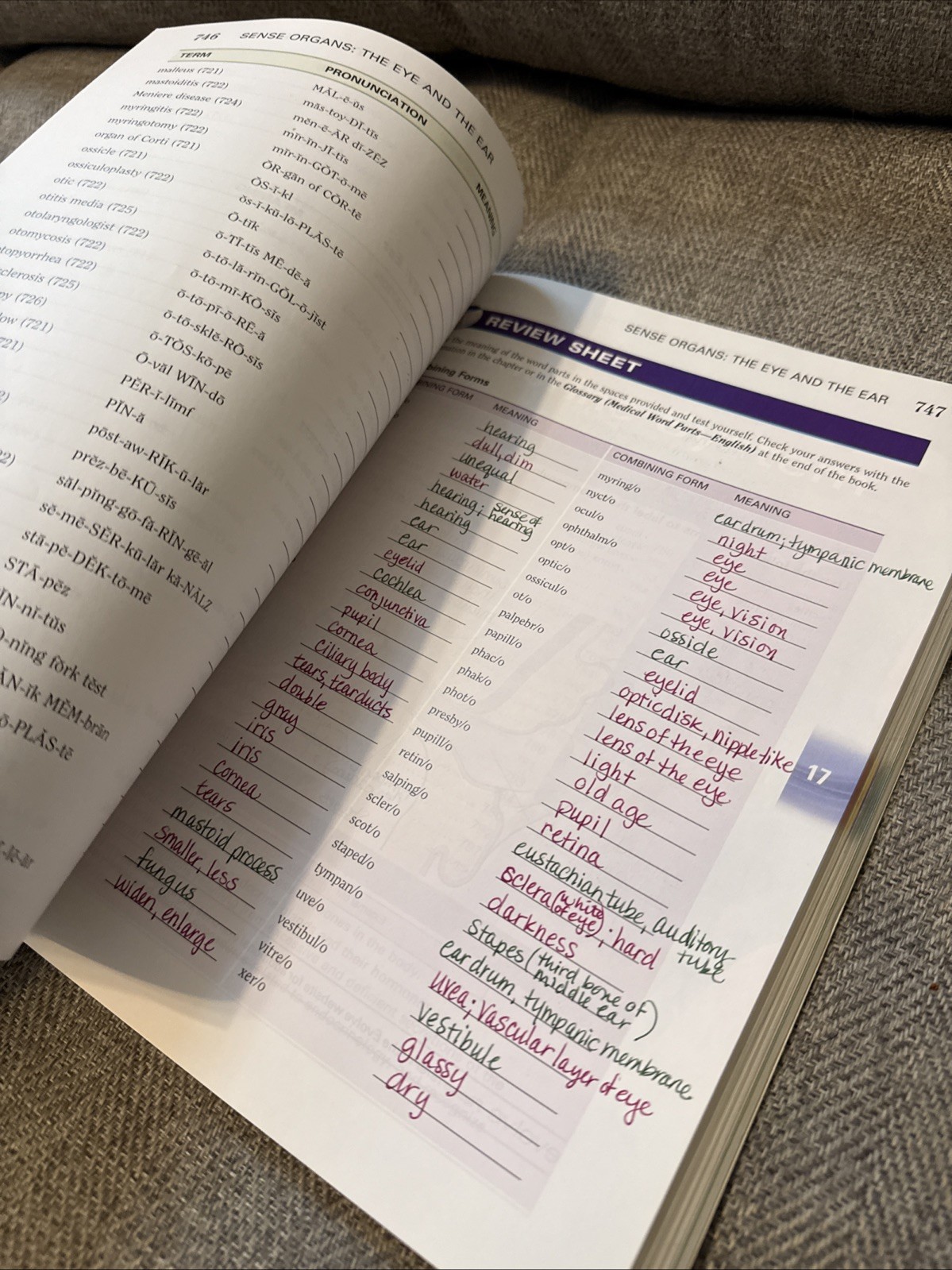 Language of Medicine by Davi-Ellen Chabner (2016, Trade Paperback)