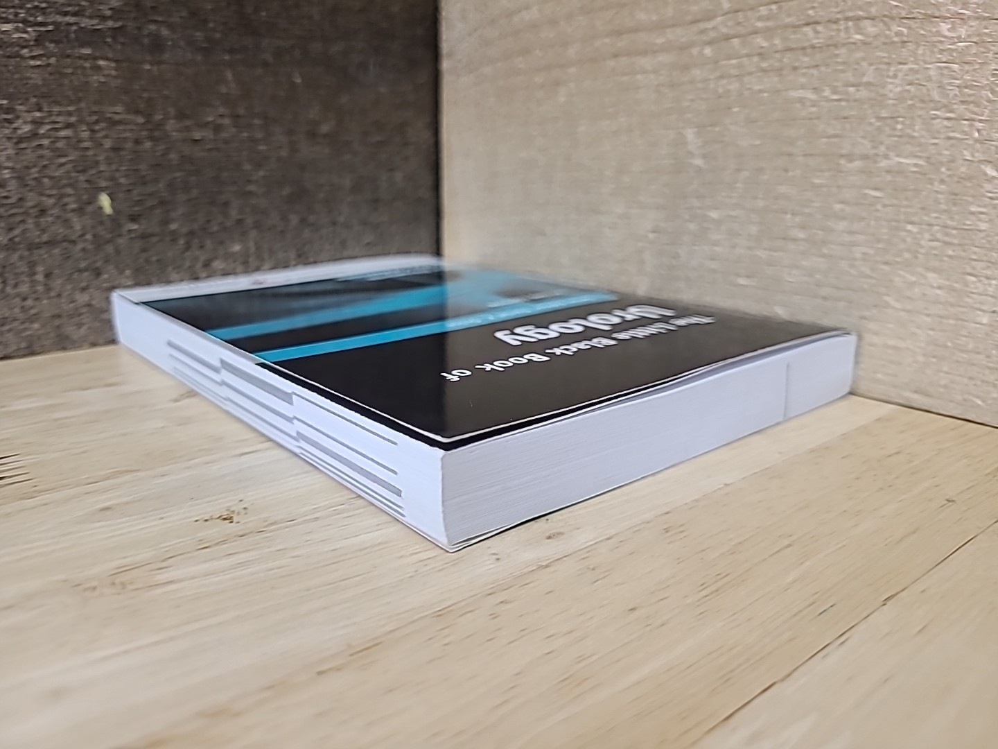 Little Black Book Of Urology 2nd Edition By Daniel K. Onion