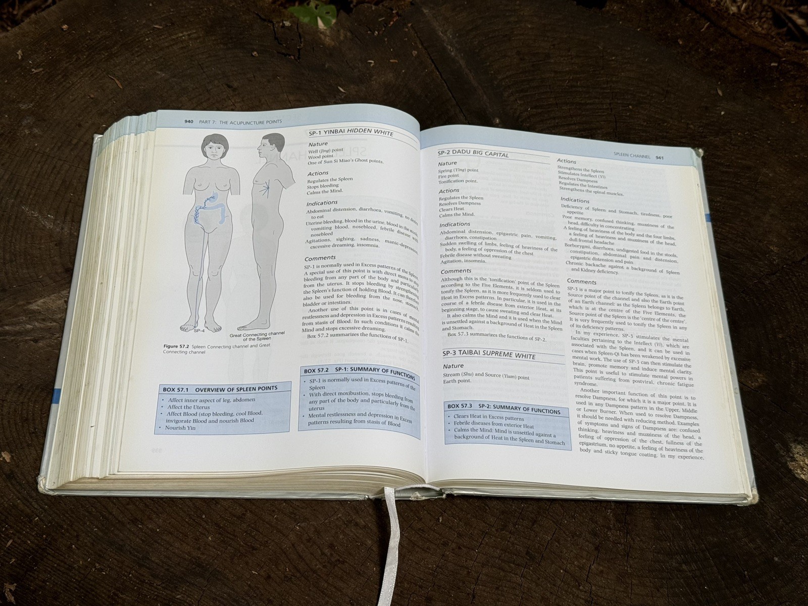 Foundations of Chinese Medicine : A Comprehensive Text Acupuncturists and…