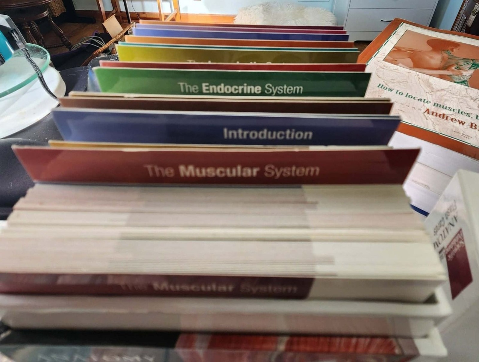 Trail Guide to the Body A&P Texbook+WorkBook & Coloring + Cards: WOW Lot of 5!!