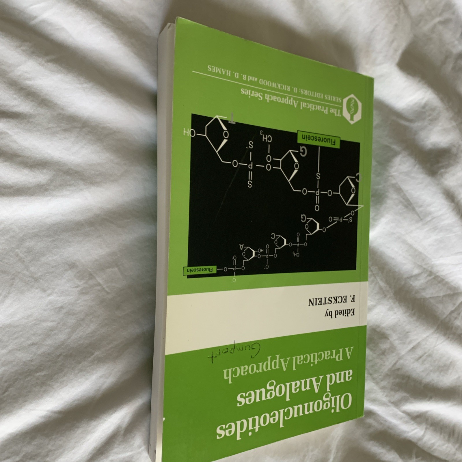 Practical Approach Ser.: Oligonucleotides and Analogues : A Practical…