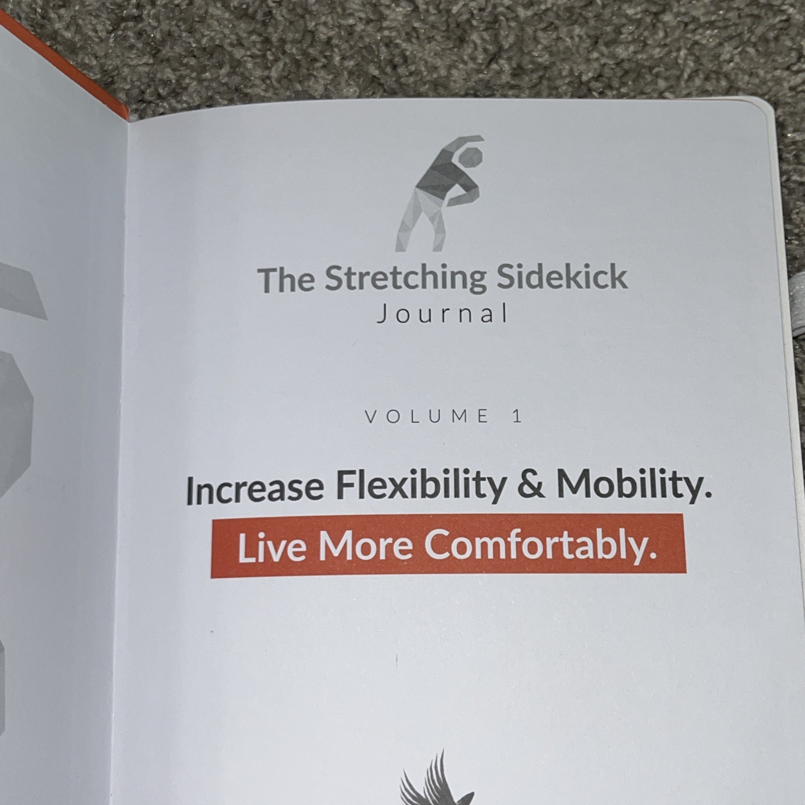 Stretching Sidekick Journal by Habit Nest Guided Stretching Volume 1