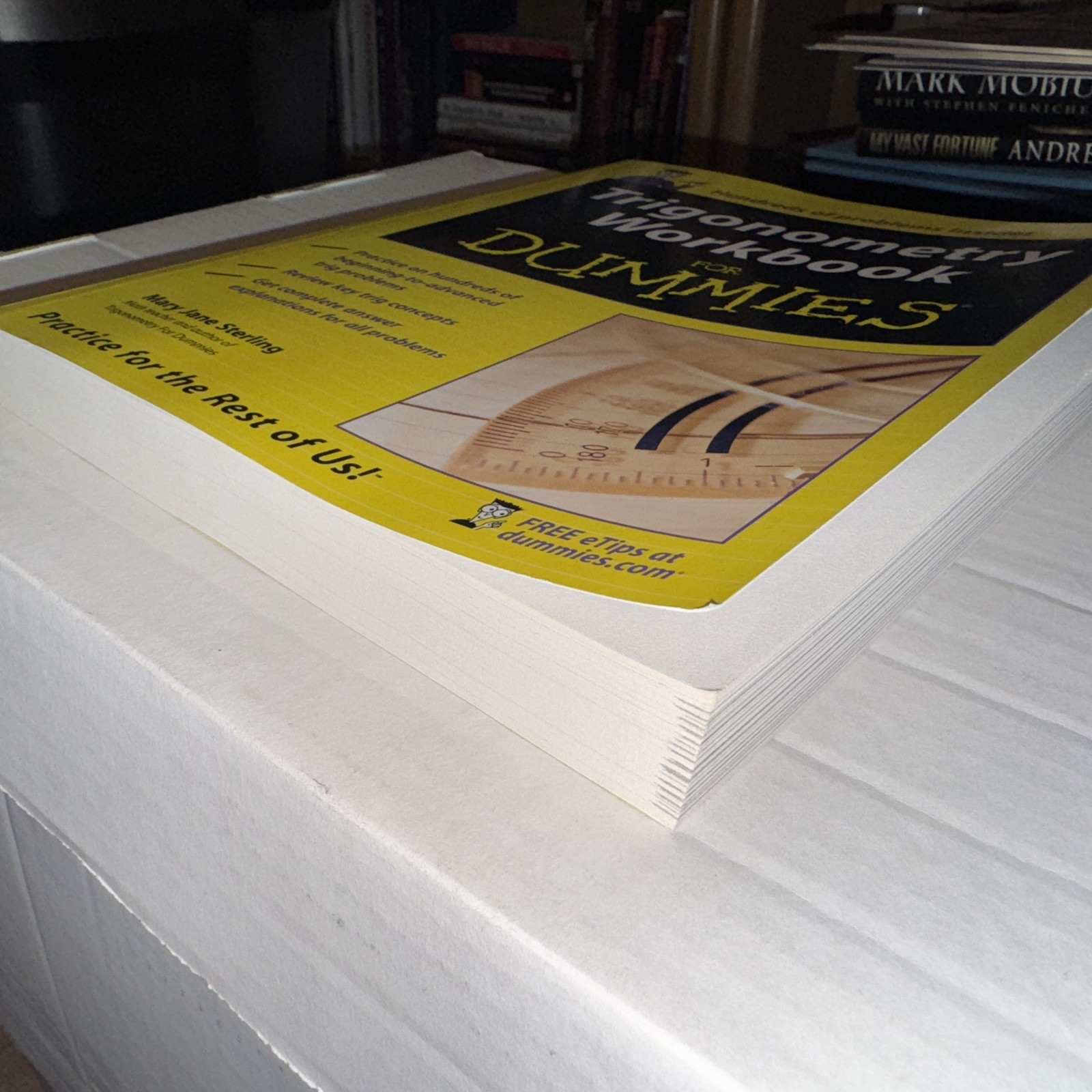 Trigonometry Workbook for Dummies by Mary Jane Sterling (2005, Trade Paperback)