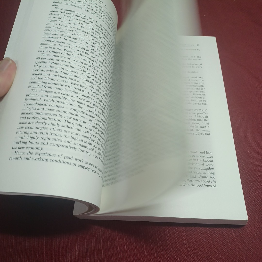 Work and Leisure Paperback