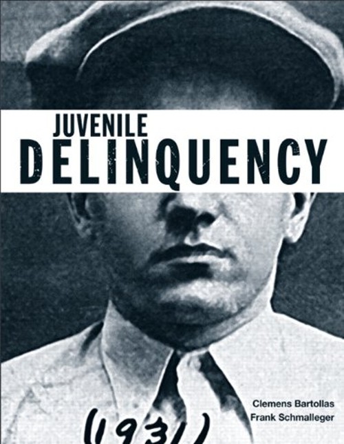 Juvenile Delinquency Paperback Clemens F., Schmalleger, Frank J.