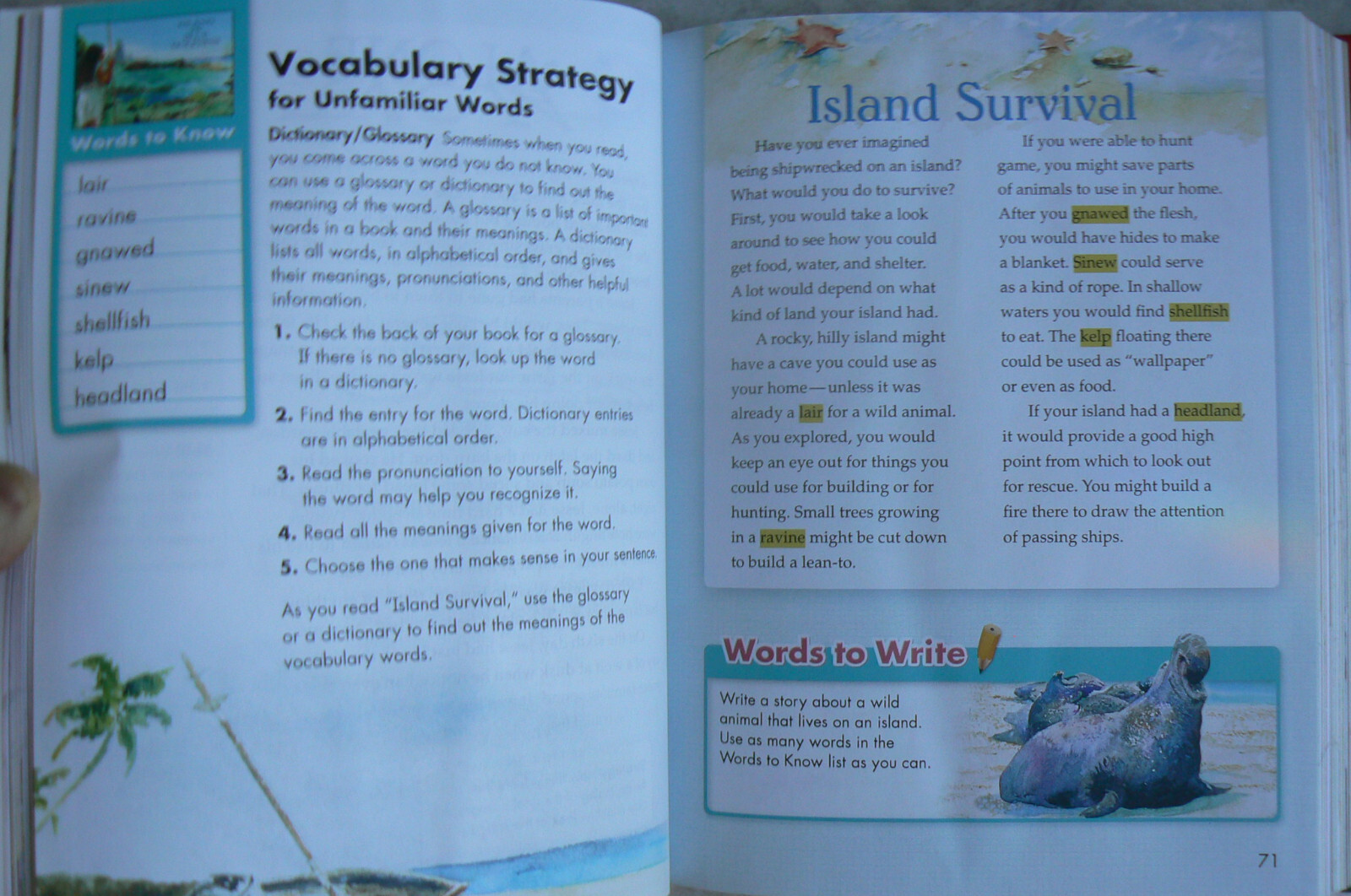 Scott Foresman Reading Street, gr. 5/5th LN Text & NEW Workbook! 2009