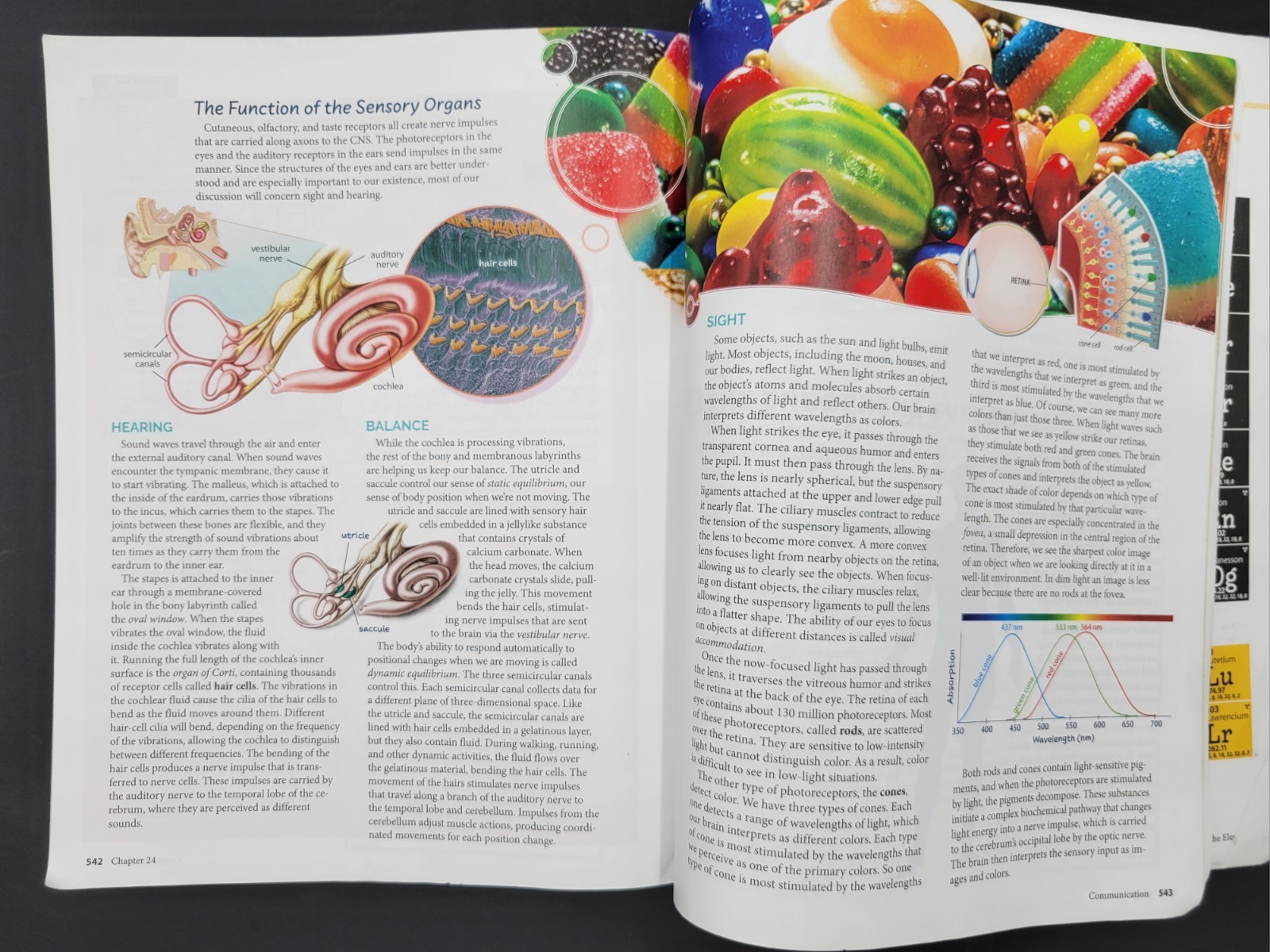 Biology Student Text & Biology Assessment 6th Edition BJU Press PB 528778-003-01
