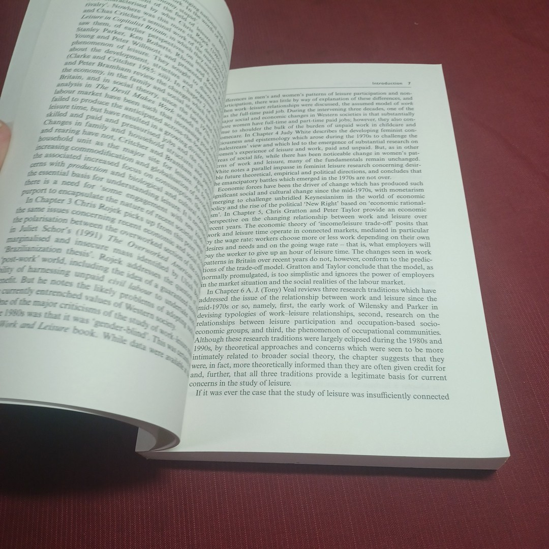 Work and Leisure Paperback