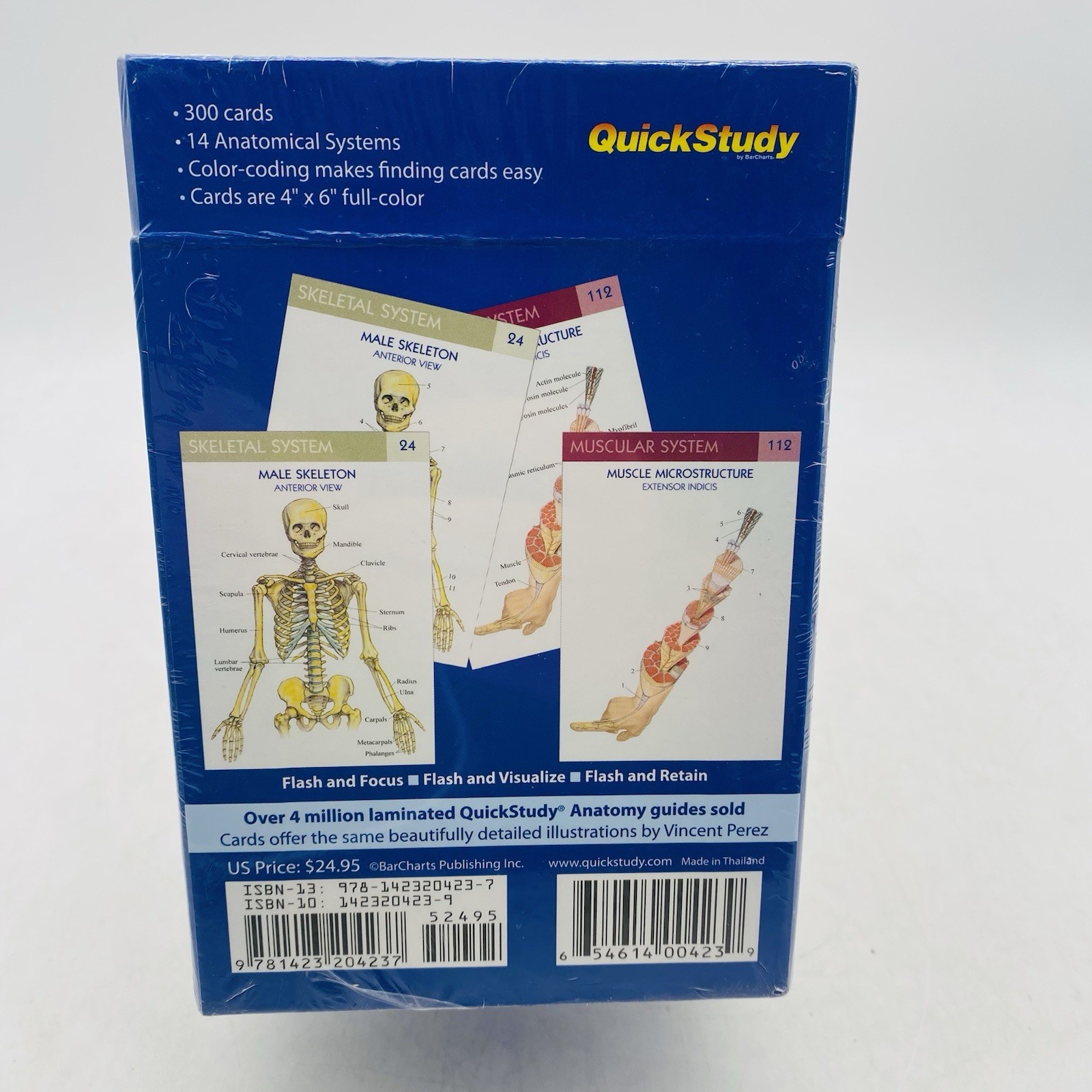 Anatomy Flash Cards 300 Cards 14 Systems Quick Study NEW SEALED