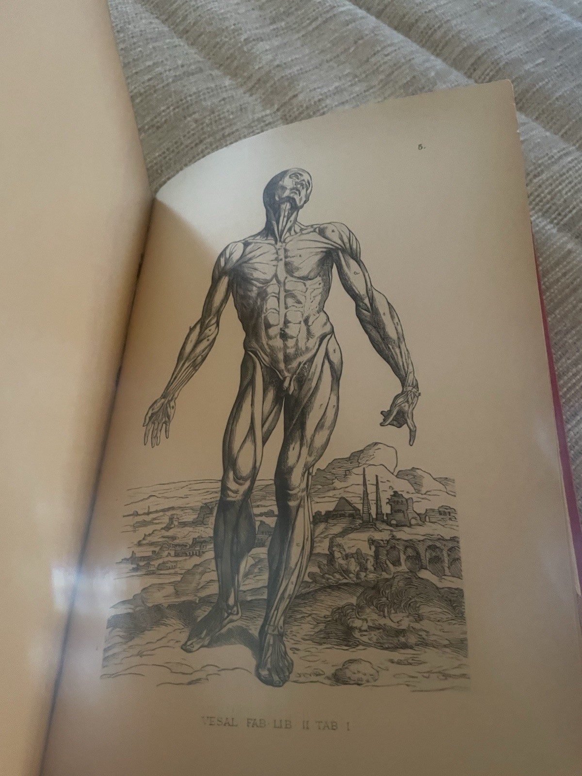 Andreas Vesalius Bruxellensis by Moritz Roth (German) Hardcover Book 1892